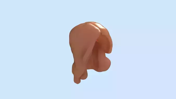 Hair Model human body