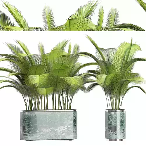 Potted plants collection 73 3D model