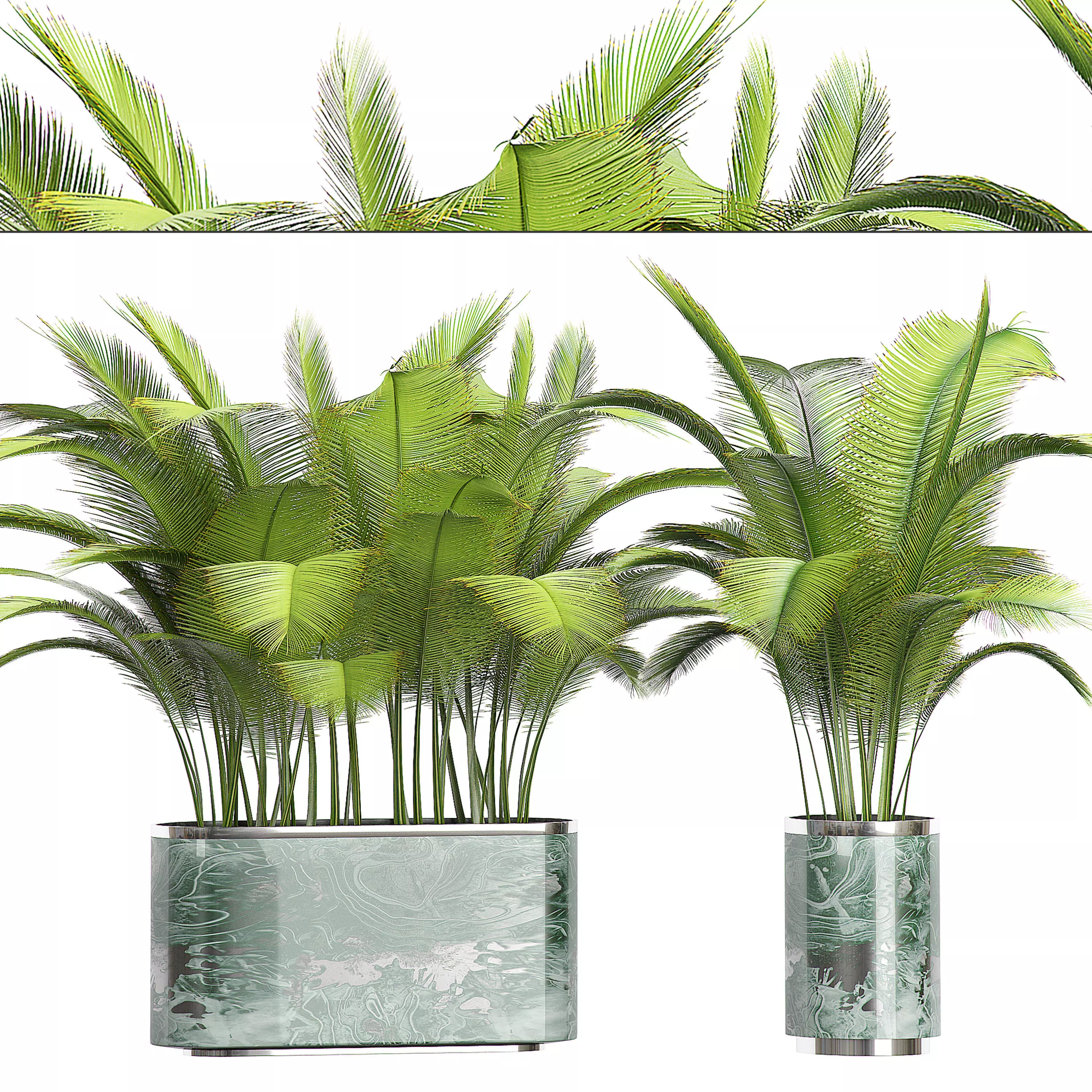 Potted plants collection 73 3D model_0