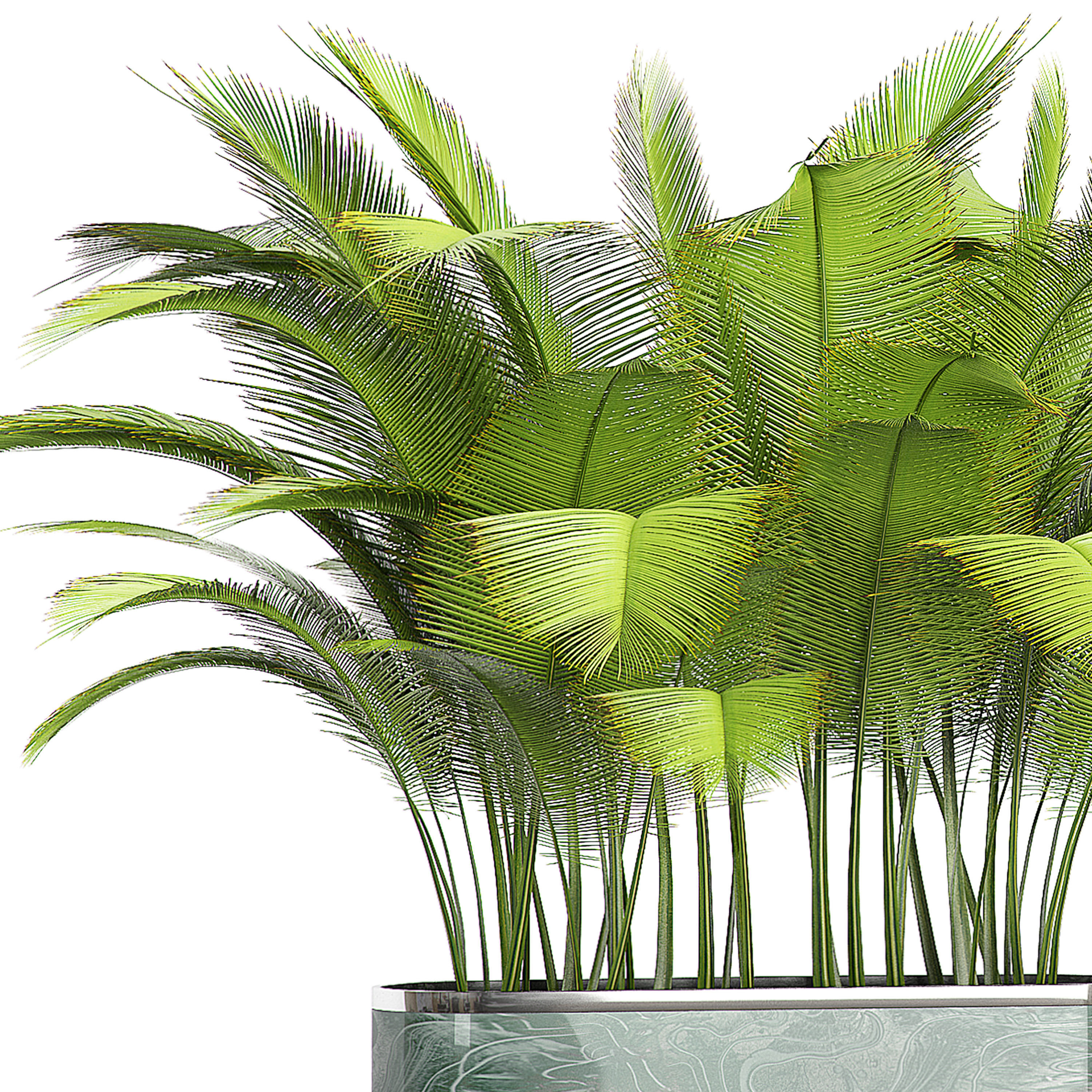 Potted plants collection 73 3D model_2