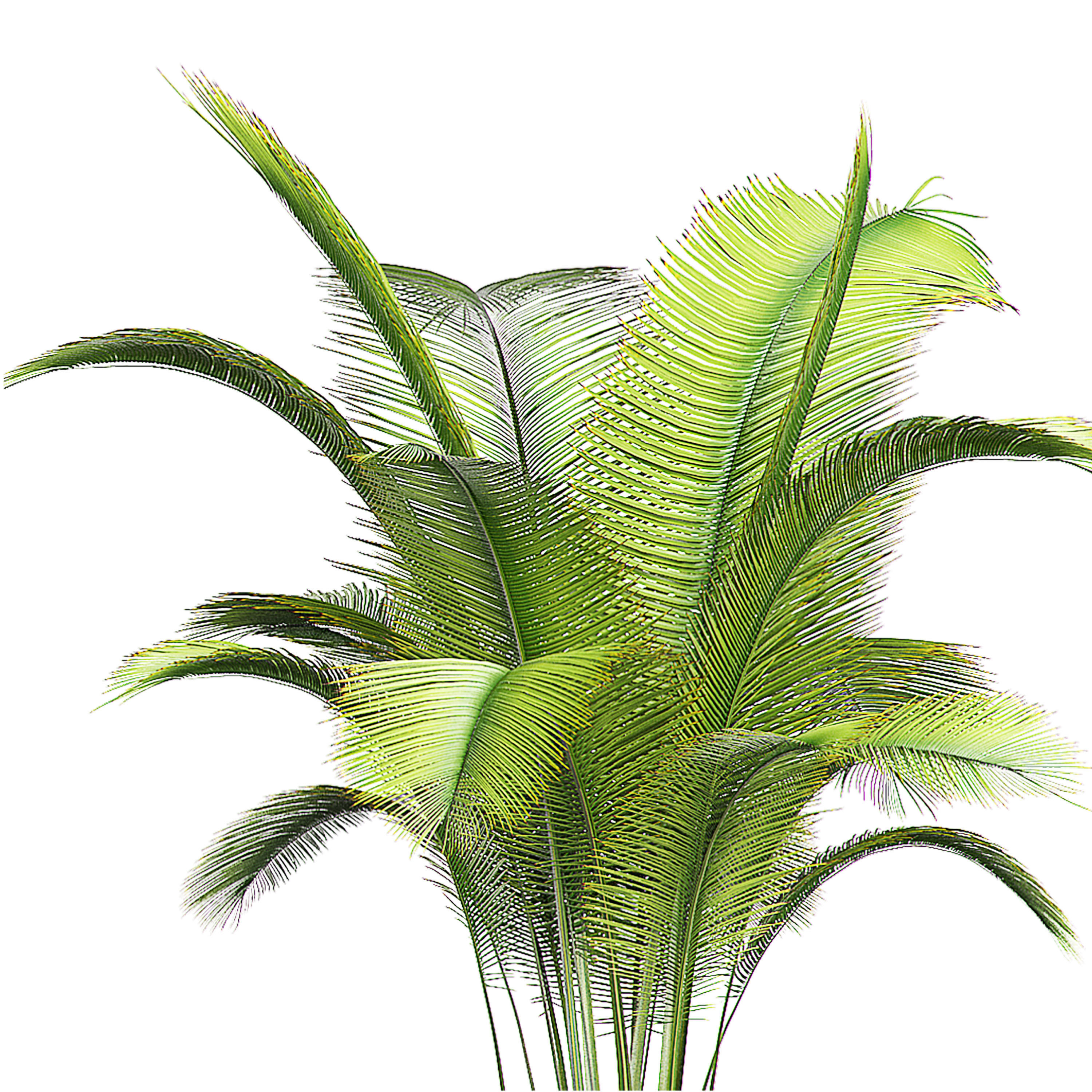 Potted plants collection 73 3D model_1