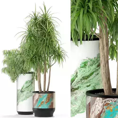 Plants collection 301