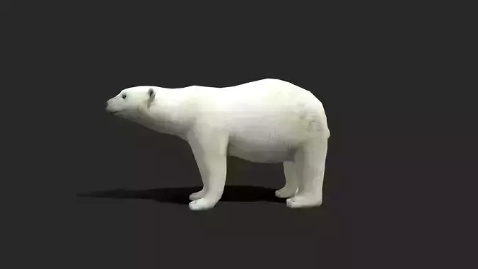 Polar Bear - Animated Low-poly 3D model