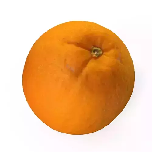Orange fruit photorealistic
