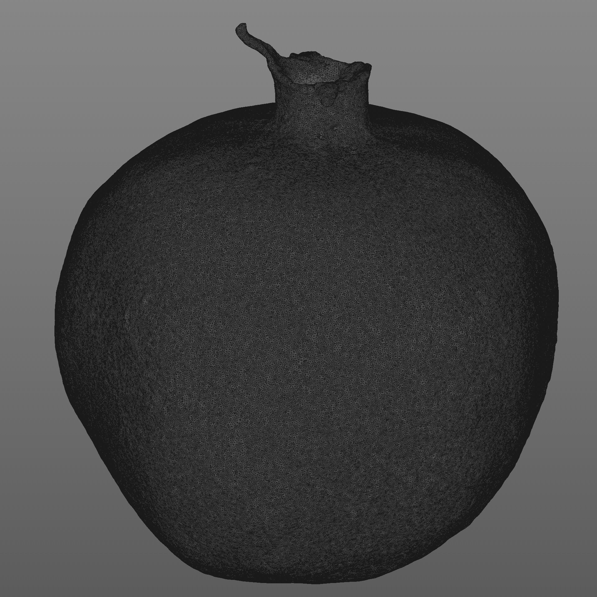 Garnet fruit 3D model_8