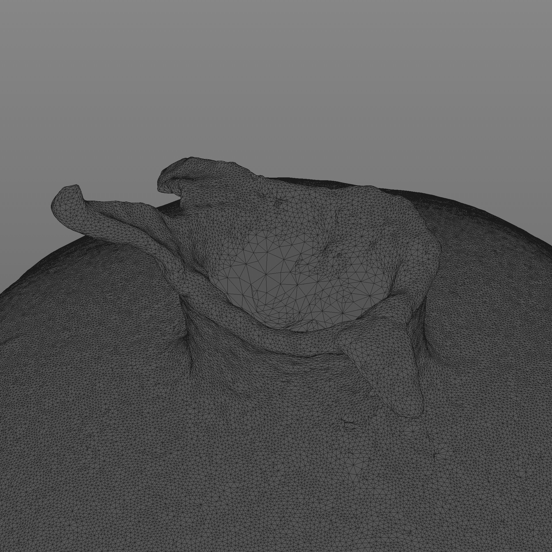 Garnet fruit 3D model_9