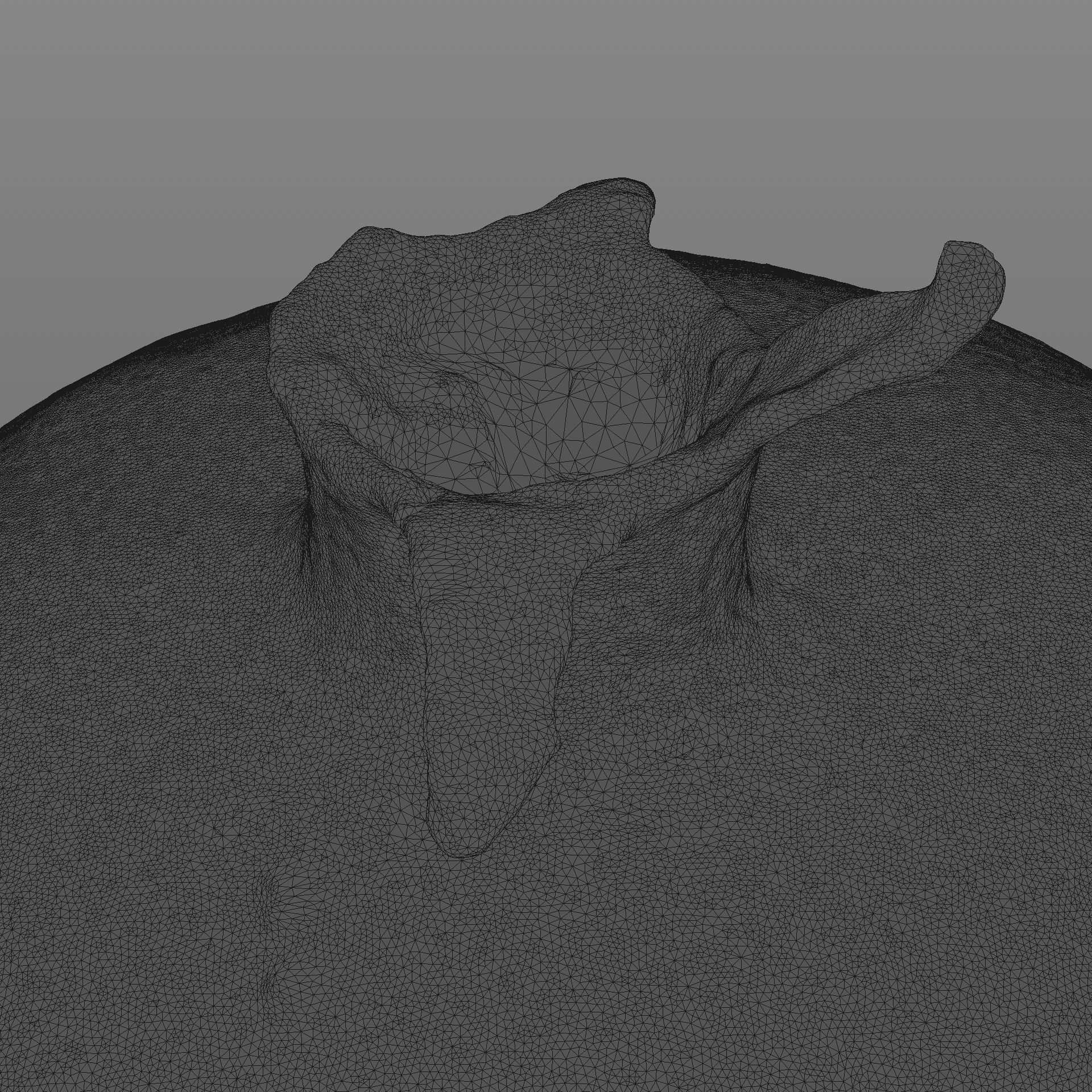 Garnet fruit 3D model_10