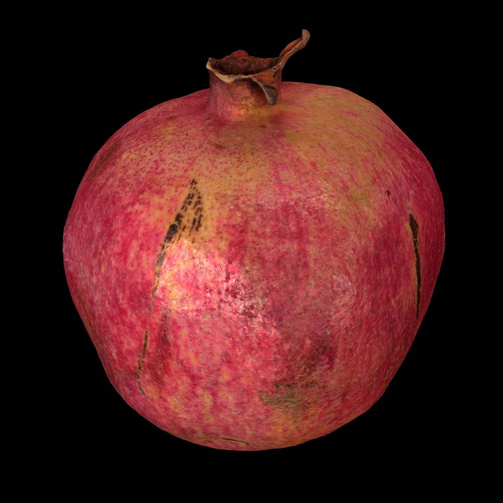 Garnet fruit 3D model_2