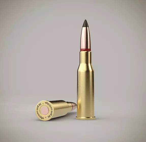 Ammunition  mm bullets 3D model_0