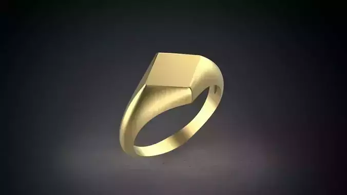 signet man ring