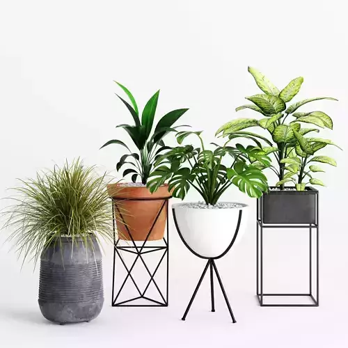Plants And Planters 4