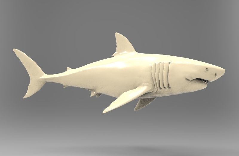 Great White Shark Printable 3D print model_1
