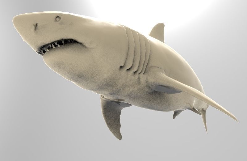 Great White Shark Printable 3D print model_3