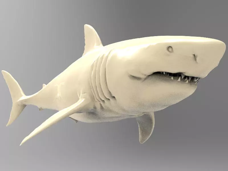 Great White Shark Printable 3D print model_0