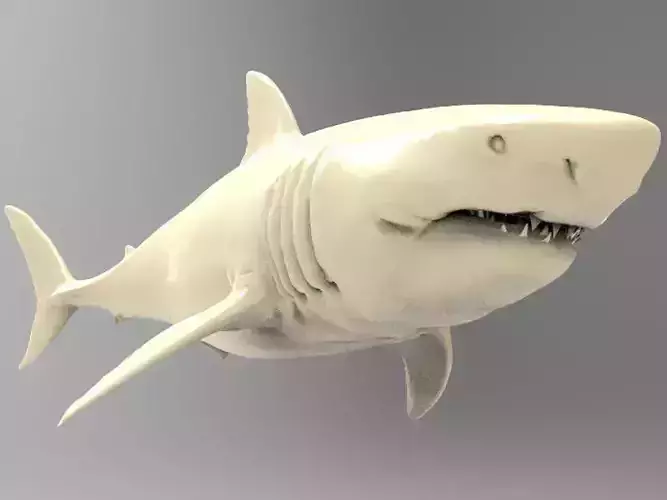 Great White Shark Printable 3D print model