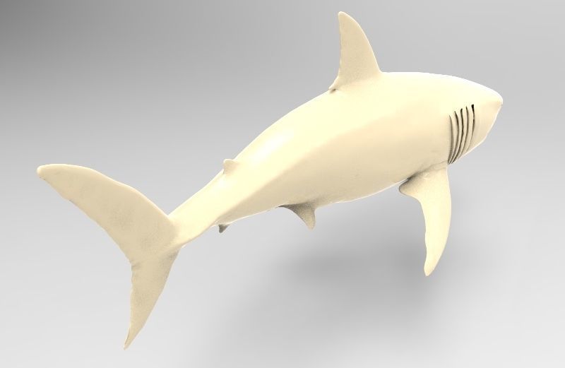 Great White Shark Printable 3D print model_2