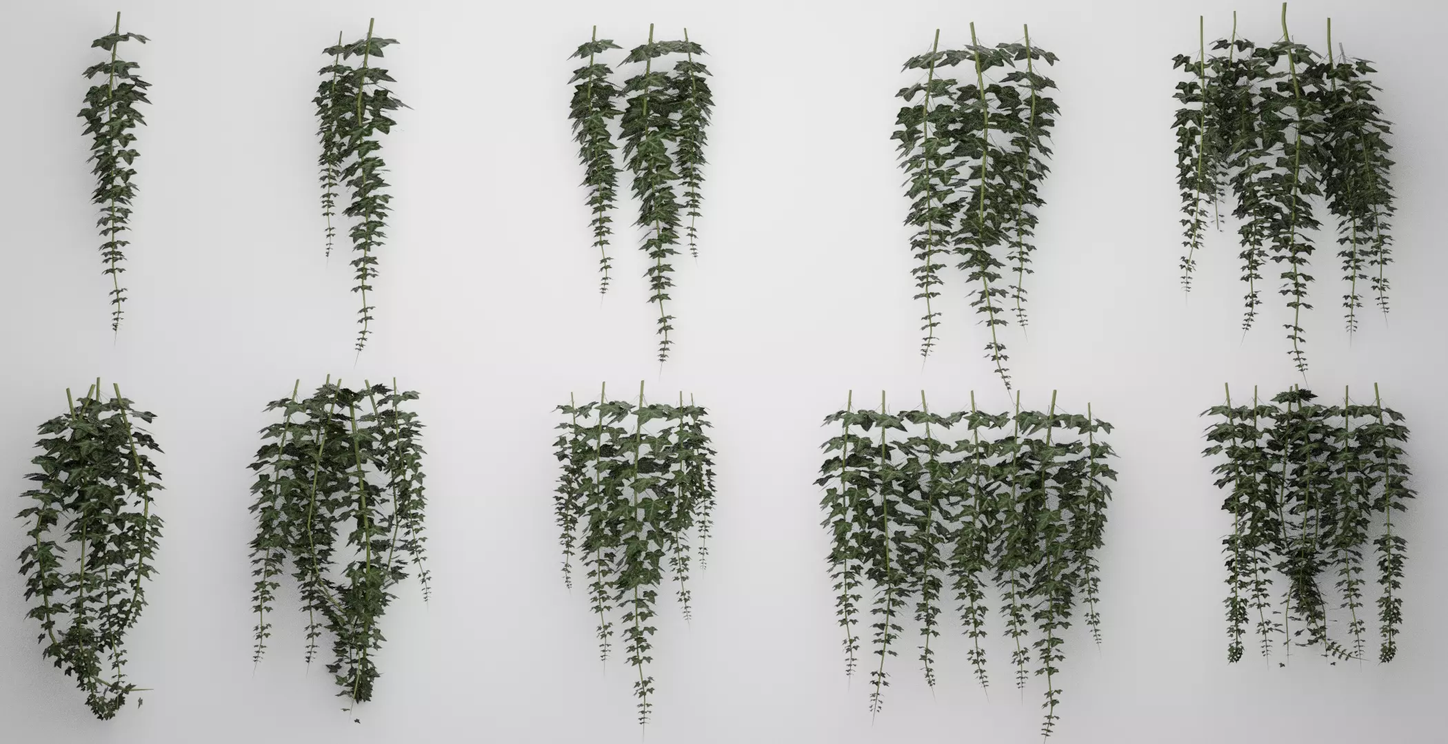 Hanging Ivy Low-poly 3D model_0