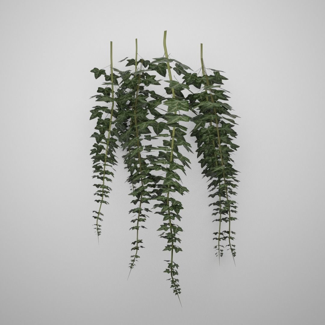 Hanging Ivy Low-poly 3D model_5