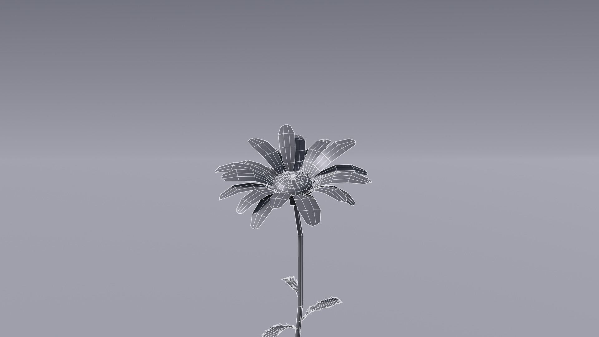 3D flower collection vol06 Daisy Low-poly 3D model_12