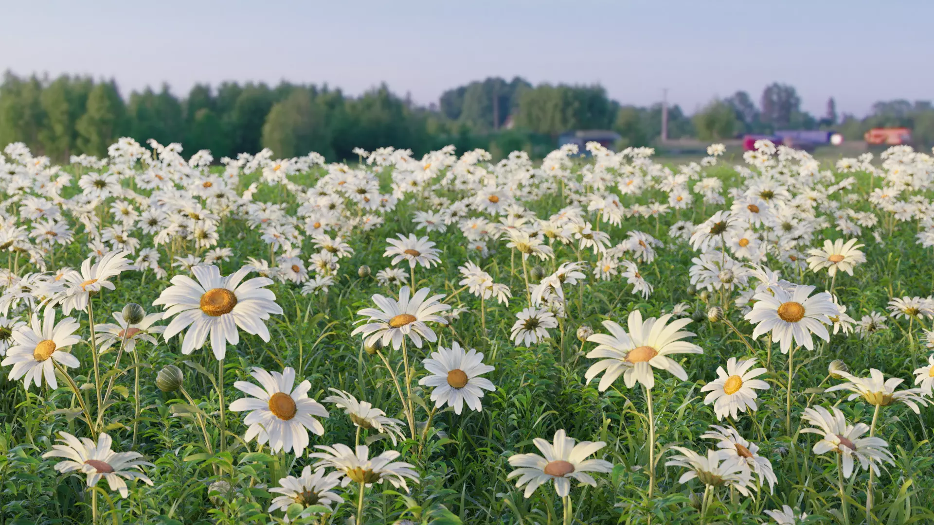 3D flower collection vol06 Daisy Low-poly 3D model_0