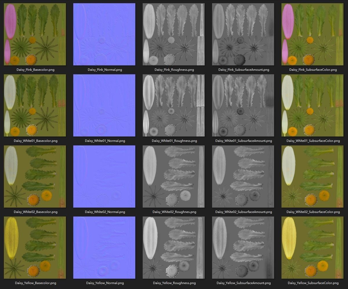 3D flower collection vol06 Daisy Low-poly 3D model_19