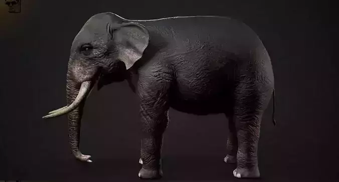 realastic elephant