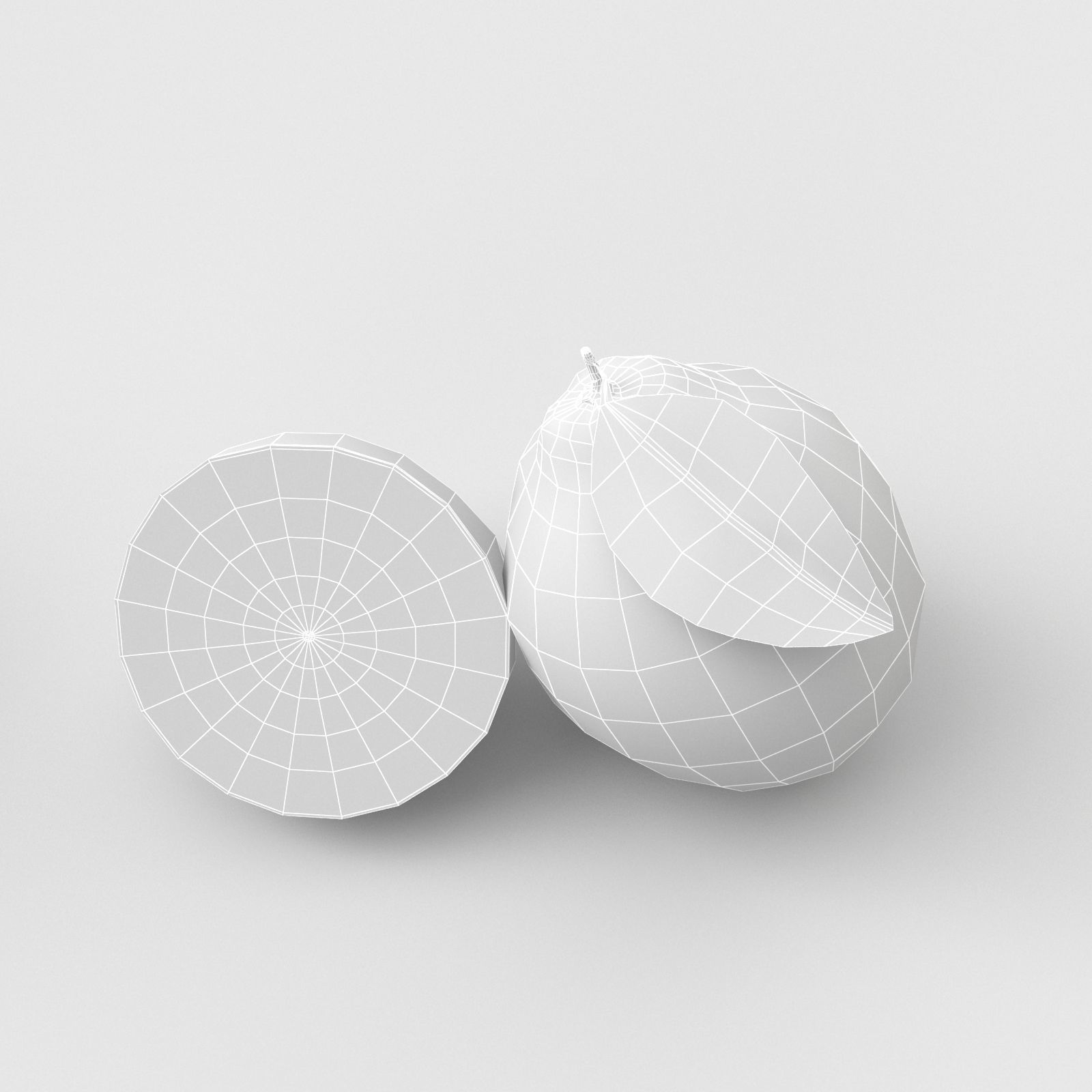 Lemon and Lime 3D model_20