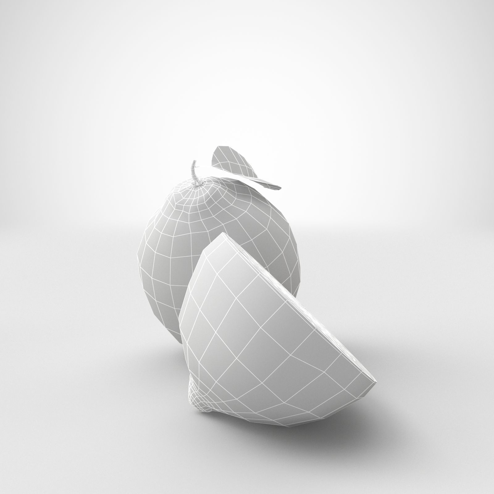 Lemon and Lime 3D model_15