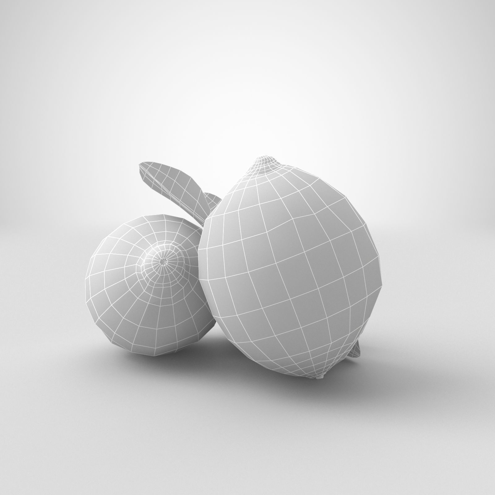 Lemon and Lime 3D model_23