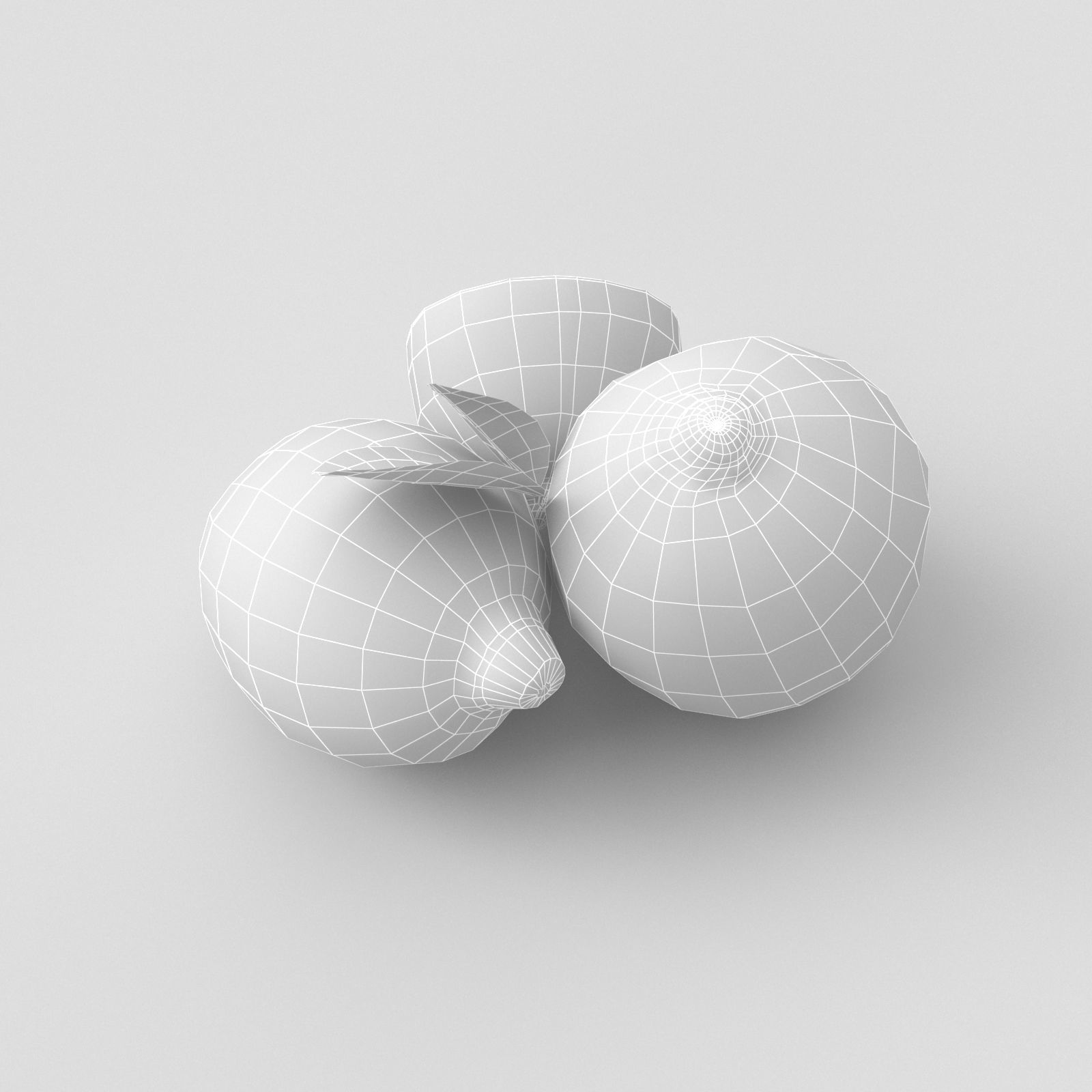 Lemon and Lime 3D model_25