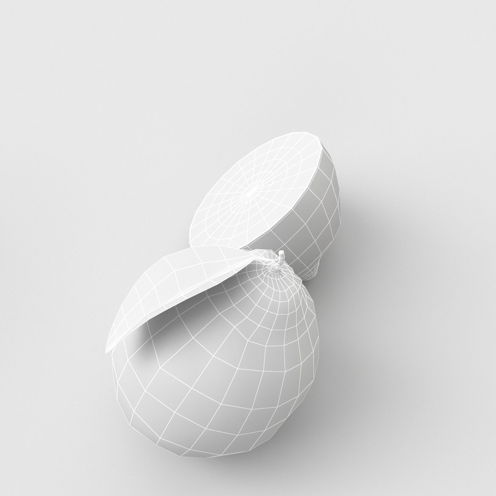 Lemon and Lime 3D model_18