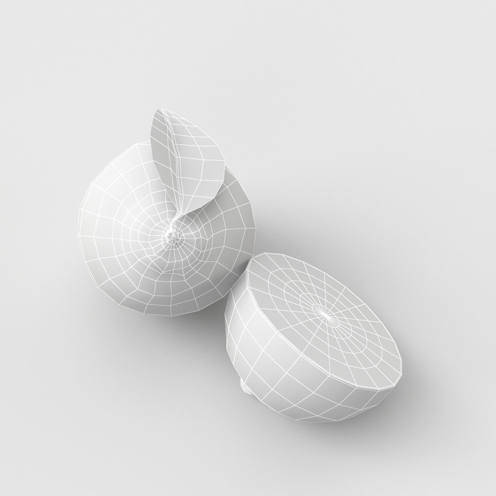 Lemon and Lime 3D model_16