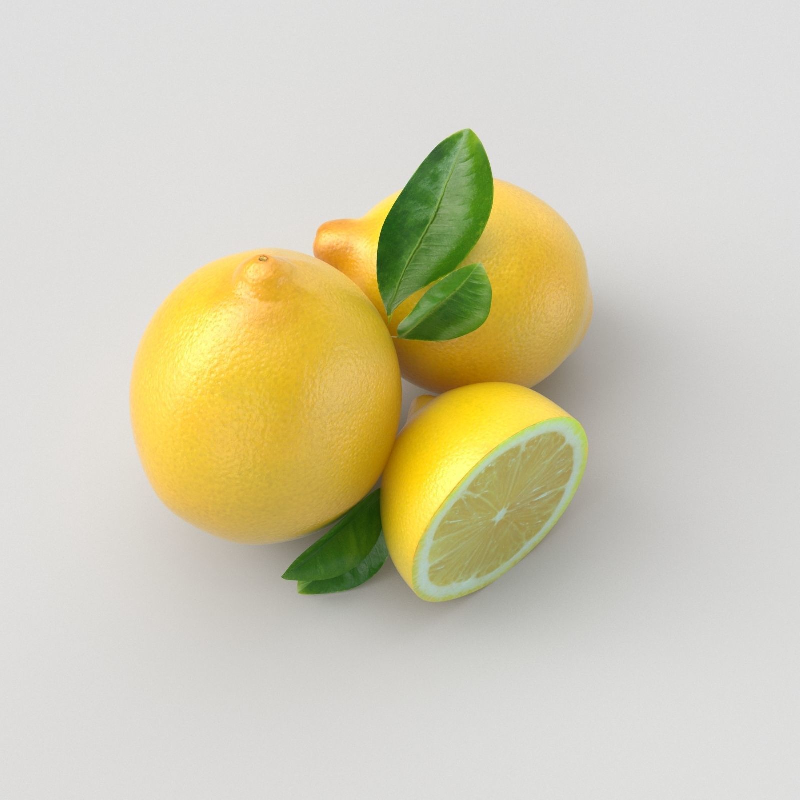 Lemon and Lime 3D model_12