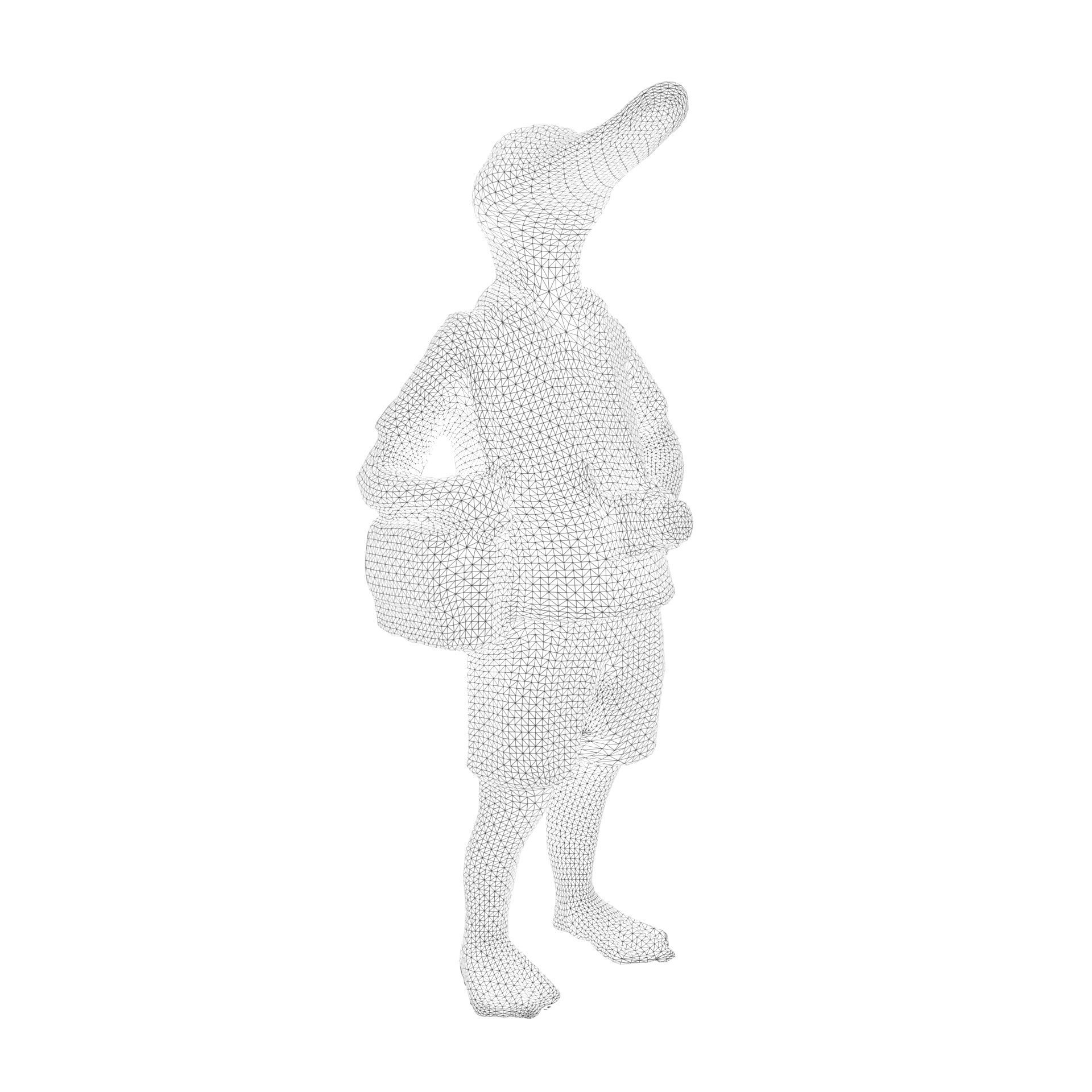 Duck photographer 3D model_8