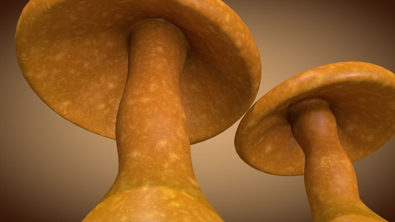 Mushroom 1 two mushrooms Low-poly 3D model_2