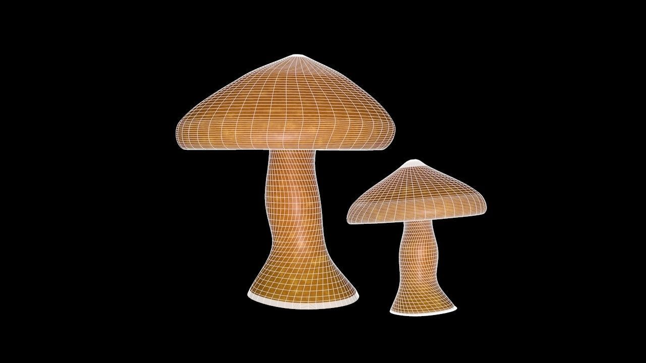 Mushroom 1 two mushrooms Low-poly 3D model_6
