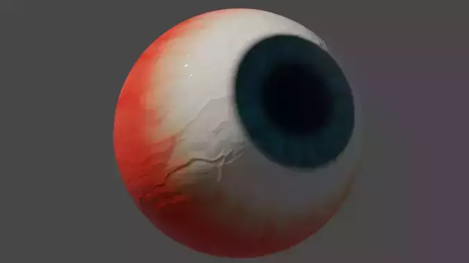 Human Eye