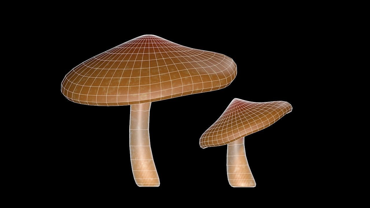 Mushroom 2 two mushrooms Low-poly 3D model_8