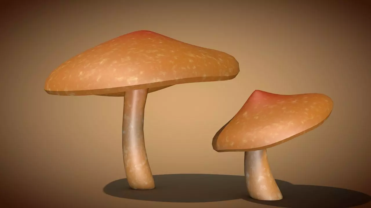 Mushroom 2 two mushrooms Low-poly 3D model_0