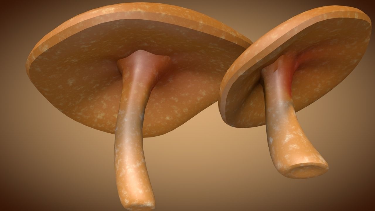 Mushroom 2 two mushrooms Low-poly 3D model_3