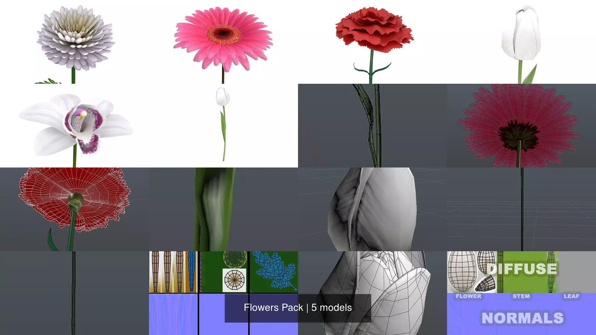 Flowers Pack 3D Model Collection_0