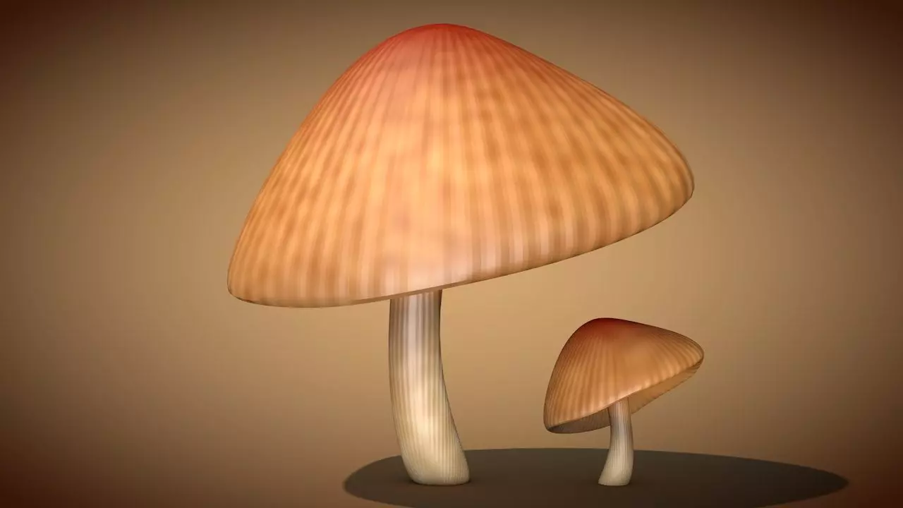 Mushroom 3 two mushrooms Low-poly 3D model_0