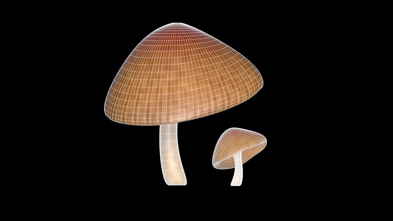 Mushroom 3 two mushrooms Low-poly 3D model_8