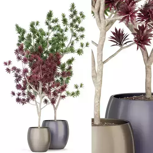 Plants collection 307 3D model