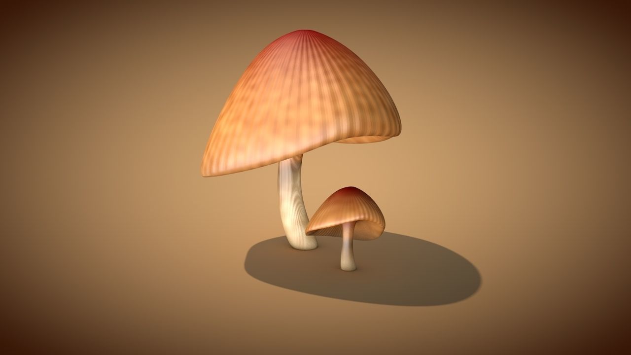 Mushrooms two 3D Model Collection_14