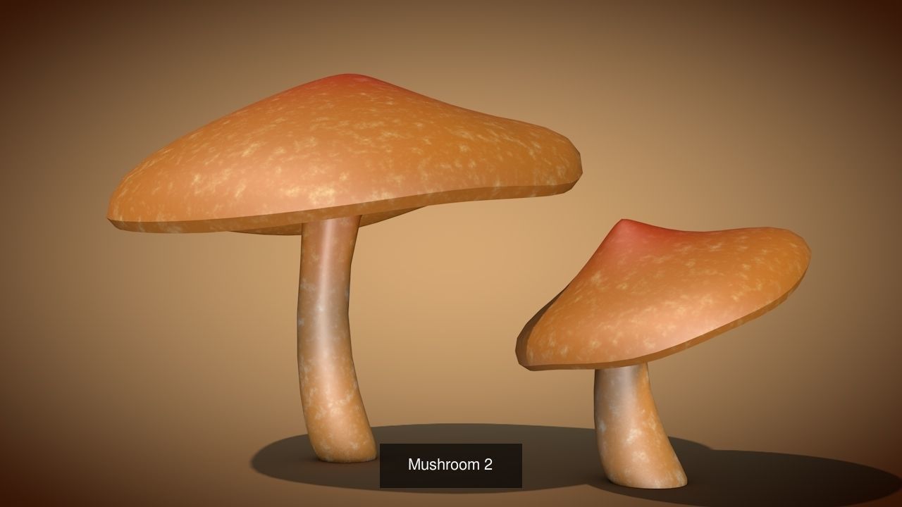 Mushrooms two 3D Model Collection_8