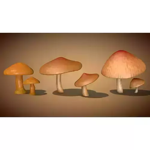 Mushrooms two 3D Model Collection