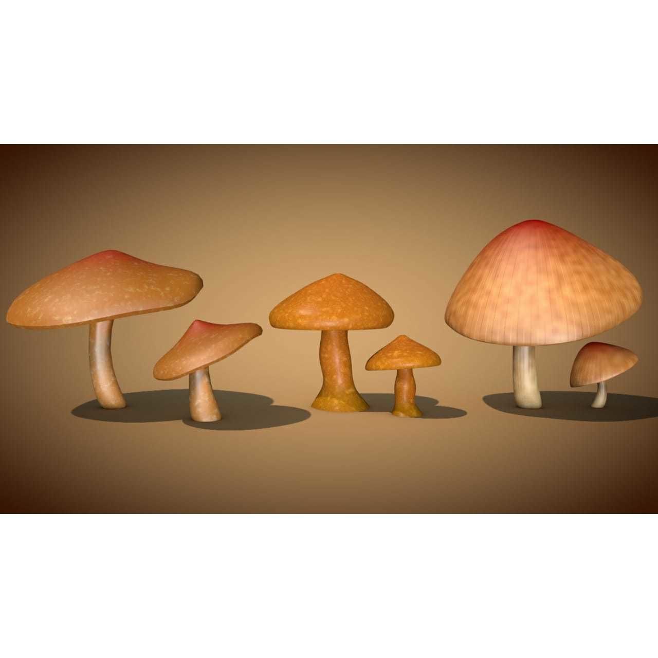 Mushrooms two 3D Model Collection_1