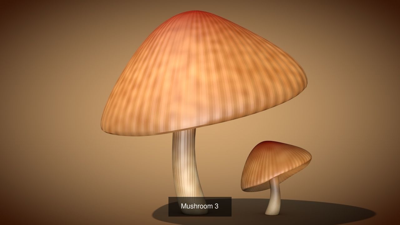 Mushrooms two 3D Model Collection_12