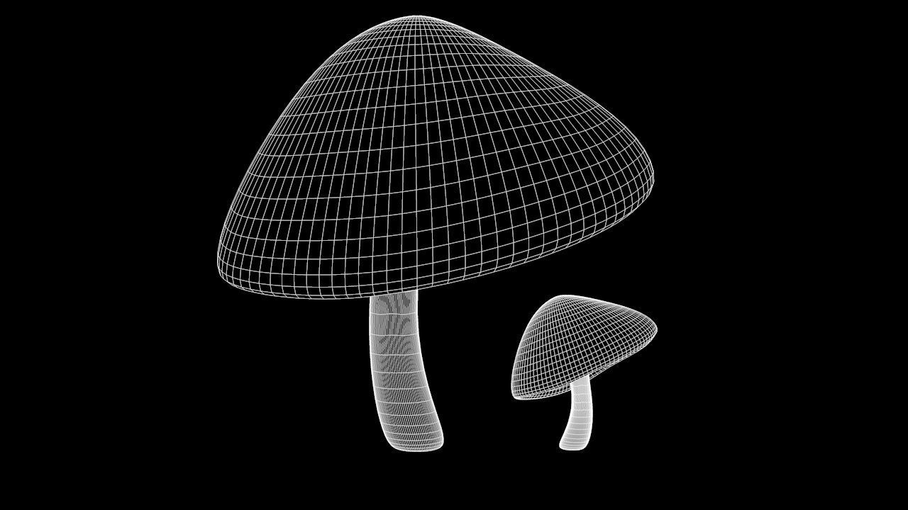 Mushrooms two 3D Model Collection_15